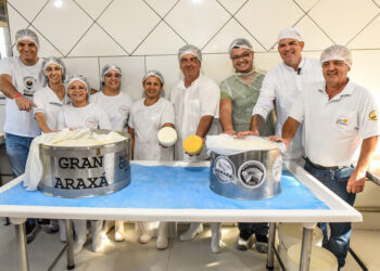 Maior Queijo Minas Artesanal da Região de Araxá está pronto e deve ser atração da ExpoQueijo Brasil em 2025