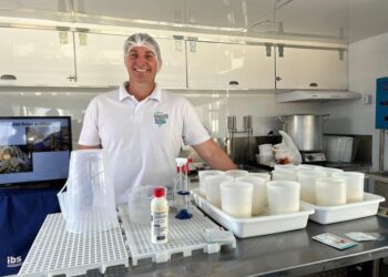 Do campo à mesa: projeto prepara pequenos produtores para mercado de queijos artesanais em Araxá e na Canastra