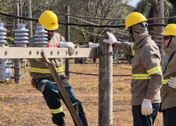 Cemig Agro define primeiras bases no interior de Minas e já prepara novos eletricistas para atuação