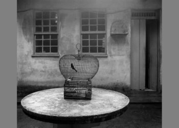 Museu Dona Beja recebe Ficções Reais, Exposição Fotográfica de Cristiano Mascaro