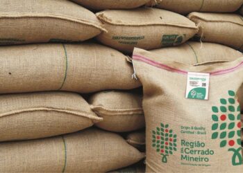 Café da Região do Cerrado Mineiro registra crescimento de 160%% na certificação de origem em 2024