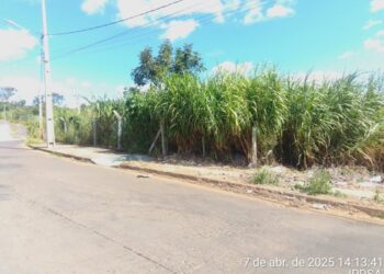 IPDSA intensifica fiscalização em terrenos baldios para prevenir incêndios